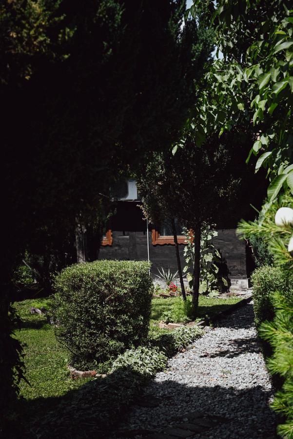 House For Rest Juliet Διαμέρισμα Velika Gorica Εξωτερικό φωτογραφία