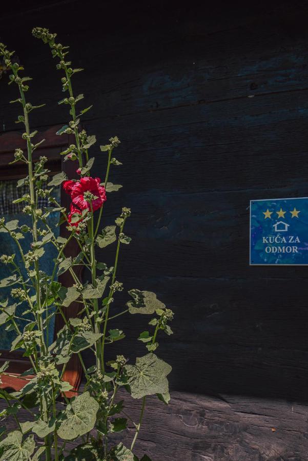 House For Rest Juliet Διαμέρισμα Velika Gorica Εξωτερικό φωτογραφία