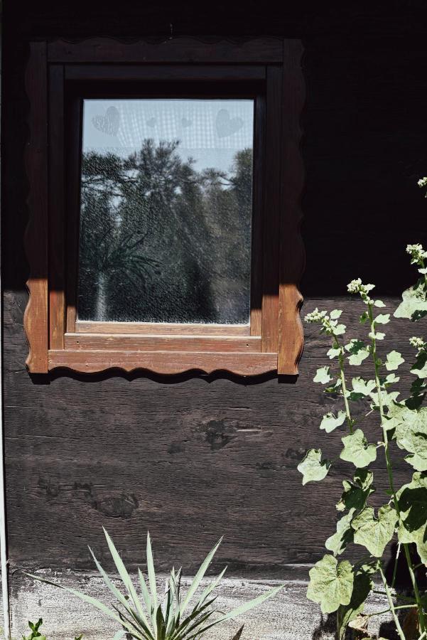 House For Rest Juliet Διαμέρισμα Velika Gorica Εξωτερικό φωτογραφία